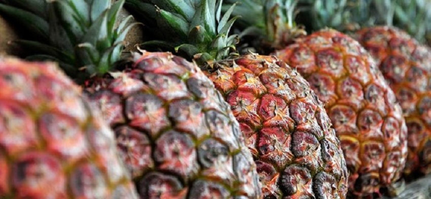 Feria de la PiÃ±a